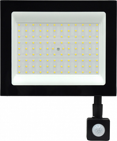 Прожектор SMD Заря Power 100W с датчиком движения 6000-6500K LED