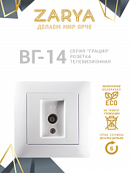 Розетка Заря — ТВ, встраиваемая